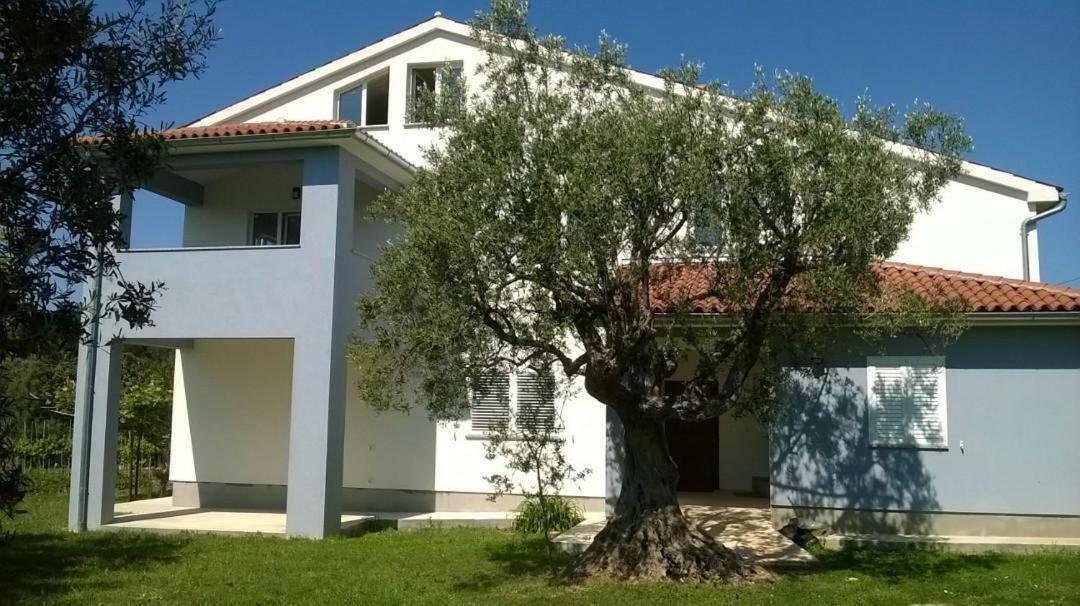 Apartments Villa Ulivo - Apartment Sol فاجانا المظهر الخارجي الصورة